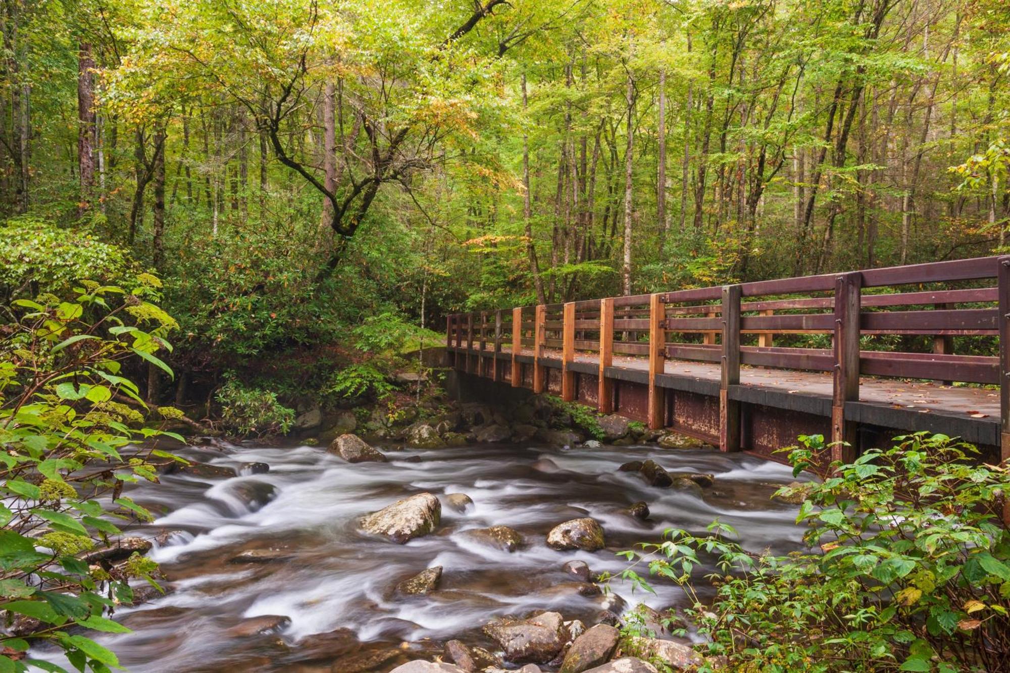 Glori'S Retreat, Game Room, 1089 Of Free Attraction Tickets For Each Paid Day, Dollywood And More Pigeon Forge Extérieur photo